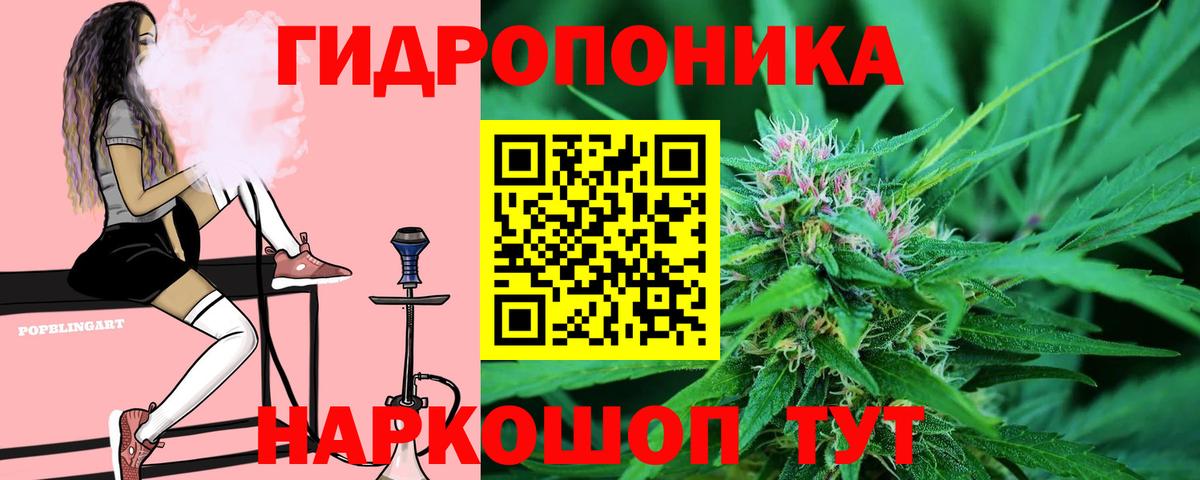 Шишки марихуана Ganja Новоуральск